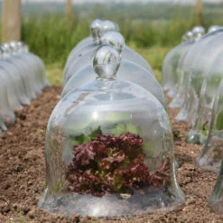 Access Glass Bells Set Of Three 21 Access Glass Bells Set Of Three -Garden Haven Shop ACCBELL10 b0b5268f 3b4d 415c 9358 dc0570589112