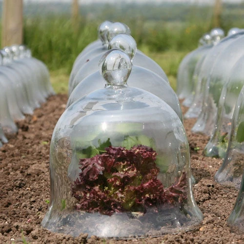 Access Glass Bells Set Of Three 11 Access Glass Bells Set Of Three - Image 11