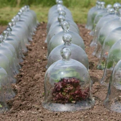 Access Glass Bells Set Of Three 14 Access Glass Bells Set Of Three -Garden Haven Shop ACCBELL3 15312c71 c2ae 48aa 85d4 00f5d45f83cf