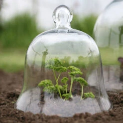 Access Glass Bells Set Of Three 18 Access Glass Bells Set Of Three -Garden Haven Shop ACCBELL7 65121133 6d80 408f b7e3 013e5b908dc9