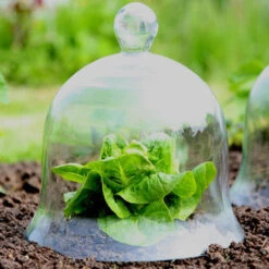 Access Glass Bells 17 Access Glass Bells -Garden Haven Shop ACCBELL8