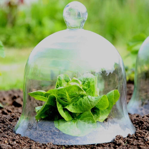 Access Glass Bells Set Of Three 9 Access Glass Bells Set Of Three - Image 9