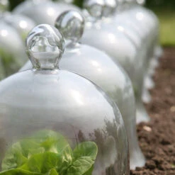 Access Glass Bells Set Of Three 20 Access Glass Bells Set Of Three -Garden Haven Shop ACCBELL9 0ed53115 45a1 418e a28e 881a56d1b62d