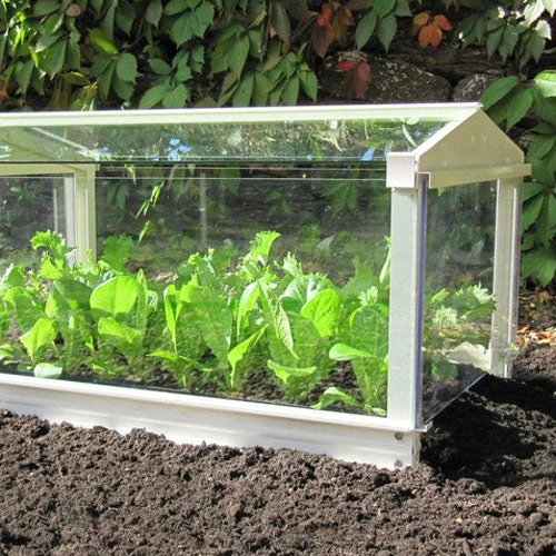 Access Glass Cloche 2 Access Glass Cloche - Image 2