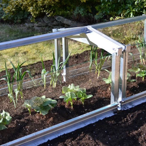 Access Glass Cloche 4 Access Glass Cloche - Image 4