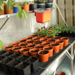 Economy Pots 5 Economy Pots -Garden Haven Shop EP3