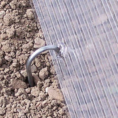 Gardeners Cloche 7 Gardeners Cloche - Image 7