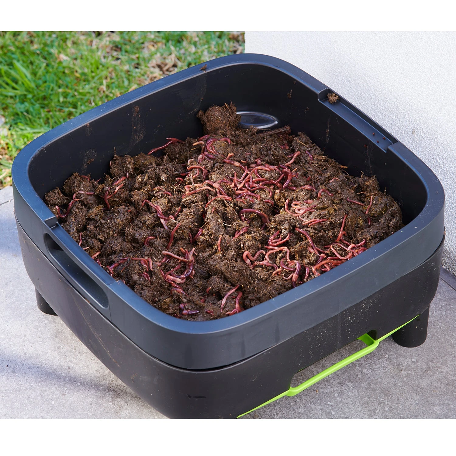 Maze Wormery 5 Maze Wormery - Image 5