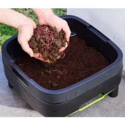 Maze Wormery 19 Maze Wormery -Garden Haven Shop GGMWF7