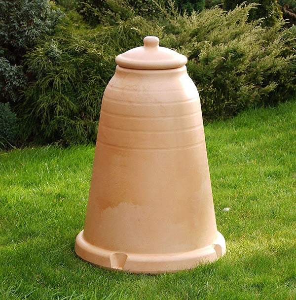 Rhubarb Forcer 1 Rhubarb Forcer