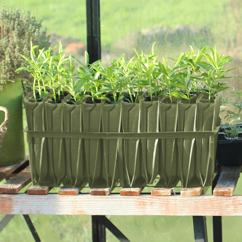 Rootrainers 2 Rootrainers - Image 2