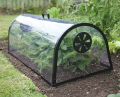 Kitchen Garden Cloche -Garden Haven Shop image 103127