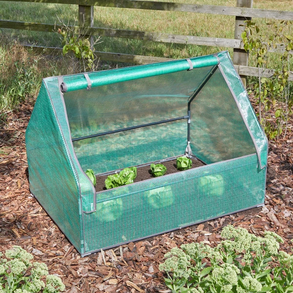 Gro-Zone Gro-Cloche Standard 1 Gro-Zone Gro-Cloche Standard