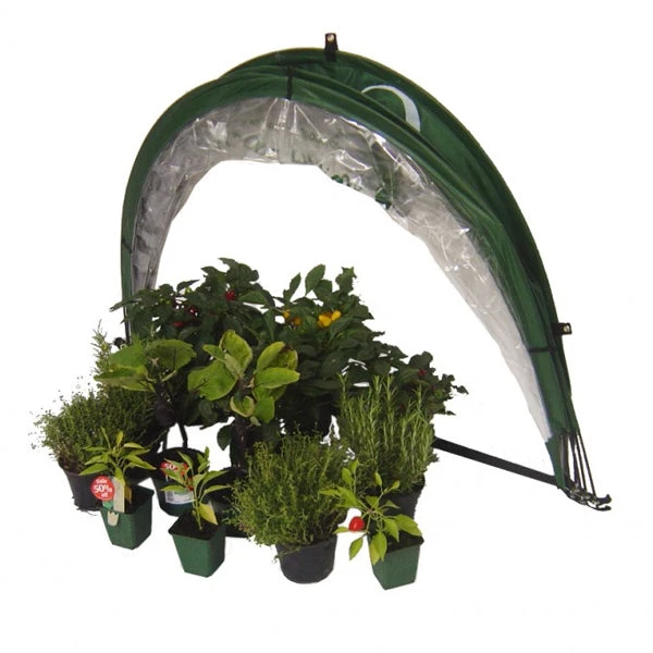 Horti Hood 90 Wall Mounted Cloche 2 Horti Hood 90 Wall Mounted Cloche - Image 2