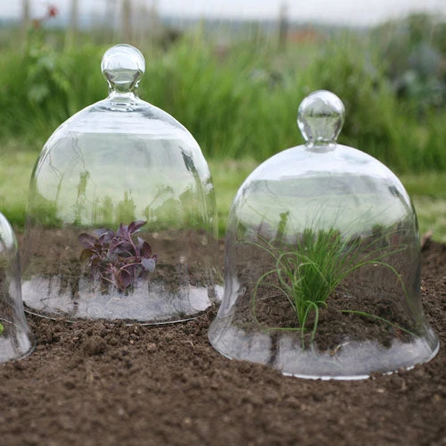 Access Glass Bells 1 Access Glass Bells