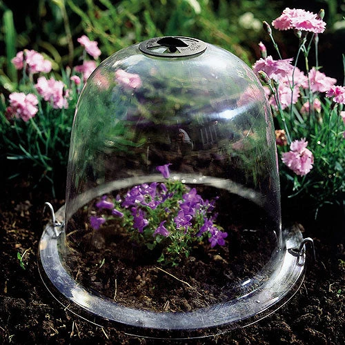 Garden Haven Shop -Garden Haven Shop image 65779