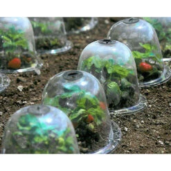 Baby Bells Pack Of 3 -Garden Haven Shop image 65781