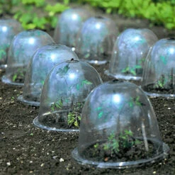 Baby Bells Pack Of 3 -Garden Haven Shop image 65782