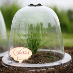 Baby Bells Pack Of 3 -Garden Haven Shop image 65786