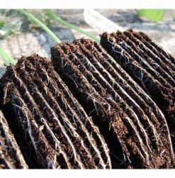 Rootrainers 9 Rootrainers -Garden Haven Shop image 91392