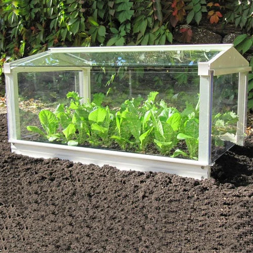 Access Glass Cloche 1 Access Glass Cloche