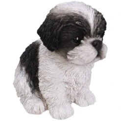 Vivid Arts Pet Pals - Puppy Garden Ornament (Small Breeds) 18 Vivid Arts Pet Pals - Puppy Garden Ornament (Small Breeds) -Garden Haven Shop pet pals black white shihtzu puppy web