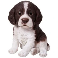 Vivid Arts Pet Pals - Puppy Garden Ornament (Medium Breeds) 5 Vivid Arts Pet Pals - Puppy Garden Ornament (Medium Breeds) -Garden Haven Shop pet pals springer spaniel web