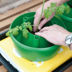 Plant Halos -Garden Haven Shop plh3 1