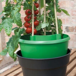 Plant Halos -Garden Haven Shop plh7 1