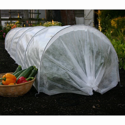 Tunnel Cloche 1 Tunnel Cloche