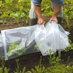 Tunnel Cloche 18 Tunnel Cloche -Garden Haven Shop tc4 1