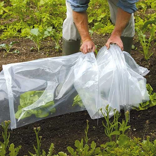 Tunnel Cloche 7 Tunnel Cloche - Image 7