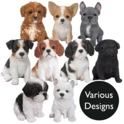 Vivid Arts Pet Pals - Puppy Garden Ornament (Small Breeds)
