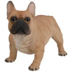 Vivid Arts Real Life Dogs - French Bulldog Garden Ornament -Garden Haven Shop vivid arts real life golden french bulldog large web