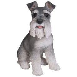 Vivid Arts Real Life Dogs - Miniature Schnauzer Garden Ornament 5 Vivid Arts Real Life Dogs - Miniature Schnauzer Garden Ornament -Garden Haven Shop vivid arts real life miniature schnauzer medium web