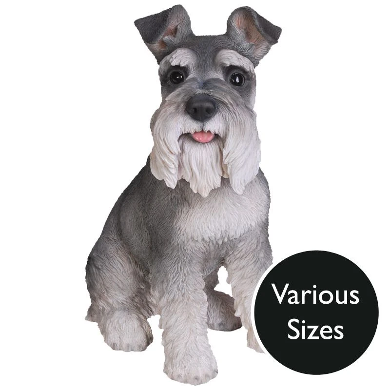Vivid Arts Real Life Dogs - Miniature Schnauzer Garden Ornament 1 Vivid Arts Real Life Dogs - Miniature Schnauzer Garden Ornament