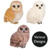 Vivid Arts Real Life Owls - Owl Garden Ornament