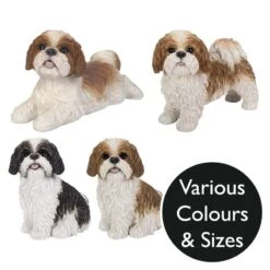 Vivid Arts Real Life Dogs - Shih Tzu Garden Ornament