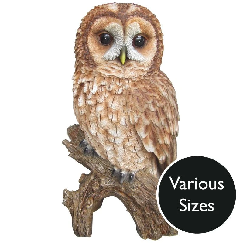 Vivid Arts Real Life Owls - Tawny Owl Garden Ornament 1 Vivid Arts Real Life Owls - Tawny Owl Garden Ornament
