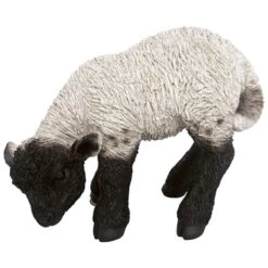 Vivid Arts Real Life Farm - Lamb Garden Ornament -Garden Haven Shop vivid arts standing black and white lamb small web