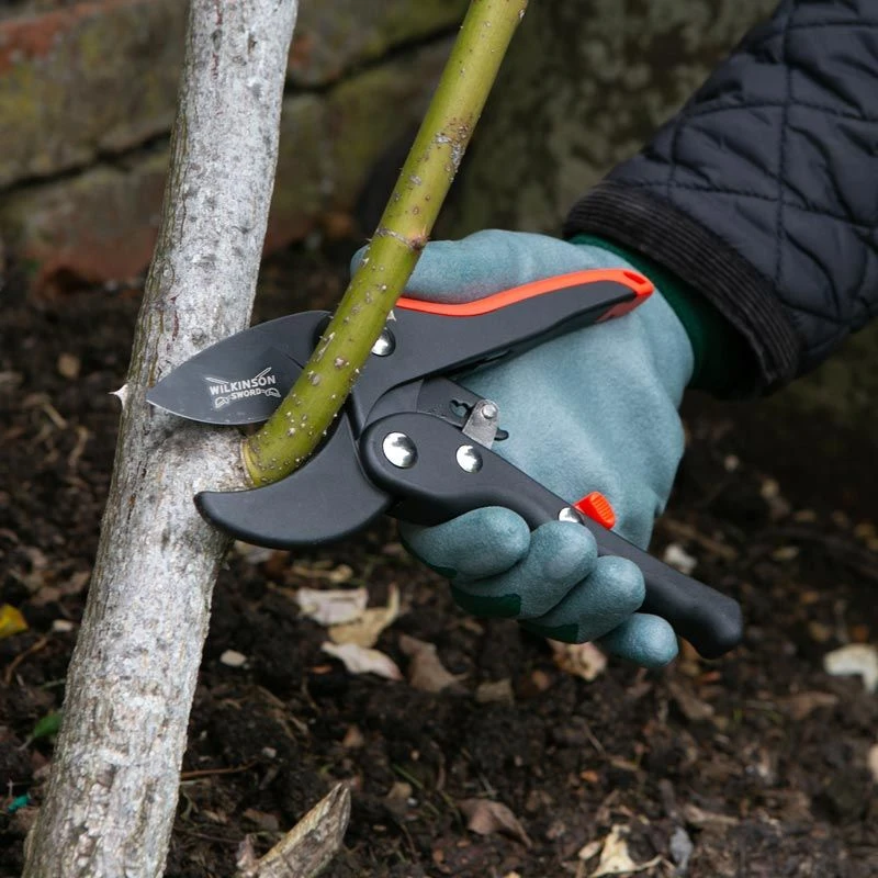 Wilkinson Sword - Ratchet Anvil Pruners 2 Wilkinson Sword - Ratchet Anvil Pruners - Image 2